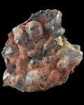 Crocoite with Goethite, West Comet Mine, Dundas, Tasmania